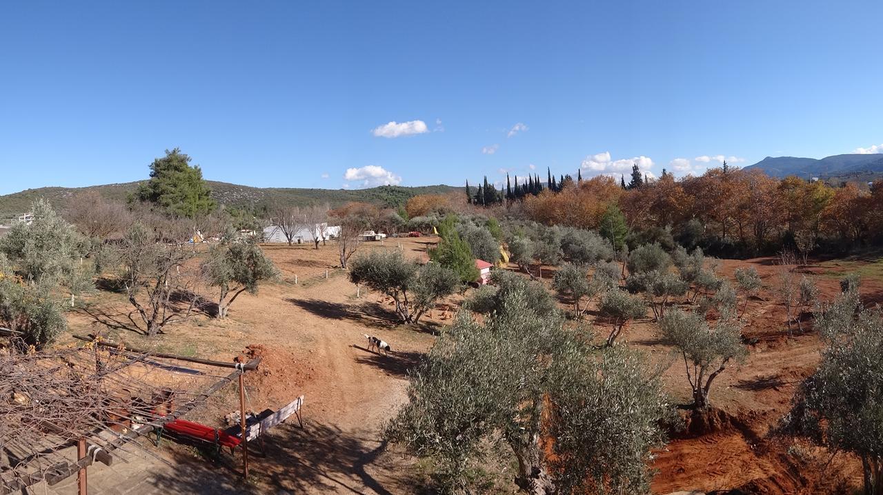 Relax In 'Crazy Farm' Villa Asprokhorion Exterior foto